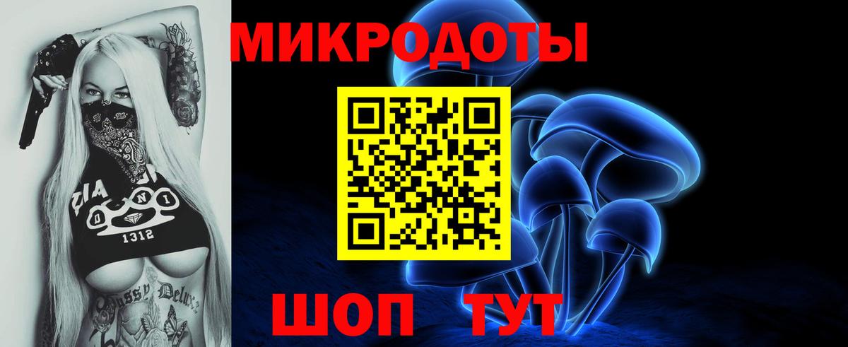 Псилоцибиновые грибы мицелий  Вход с VPN  Новоалександровск 